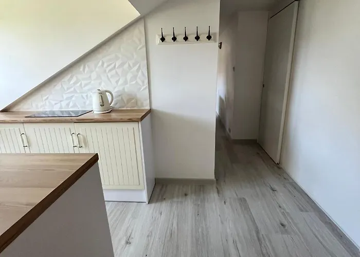 Orzechowka- Dla Rodzin Z Dziecmi 库瑞尼卡慕斯卡